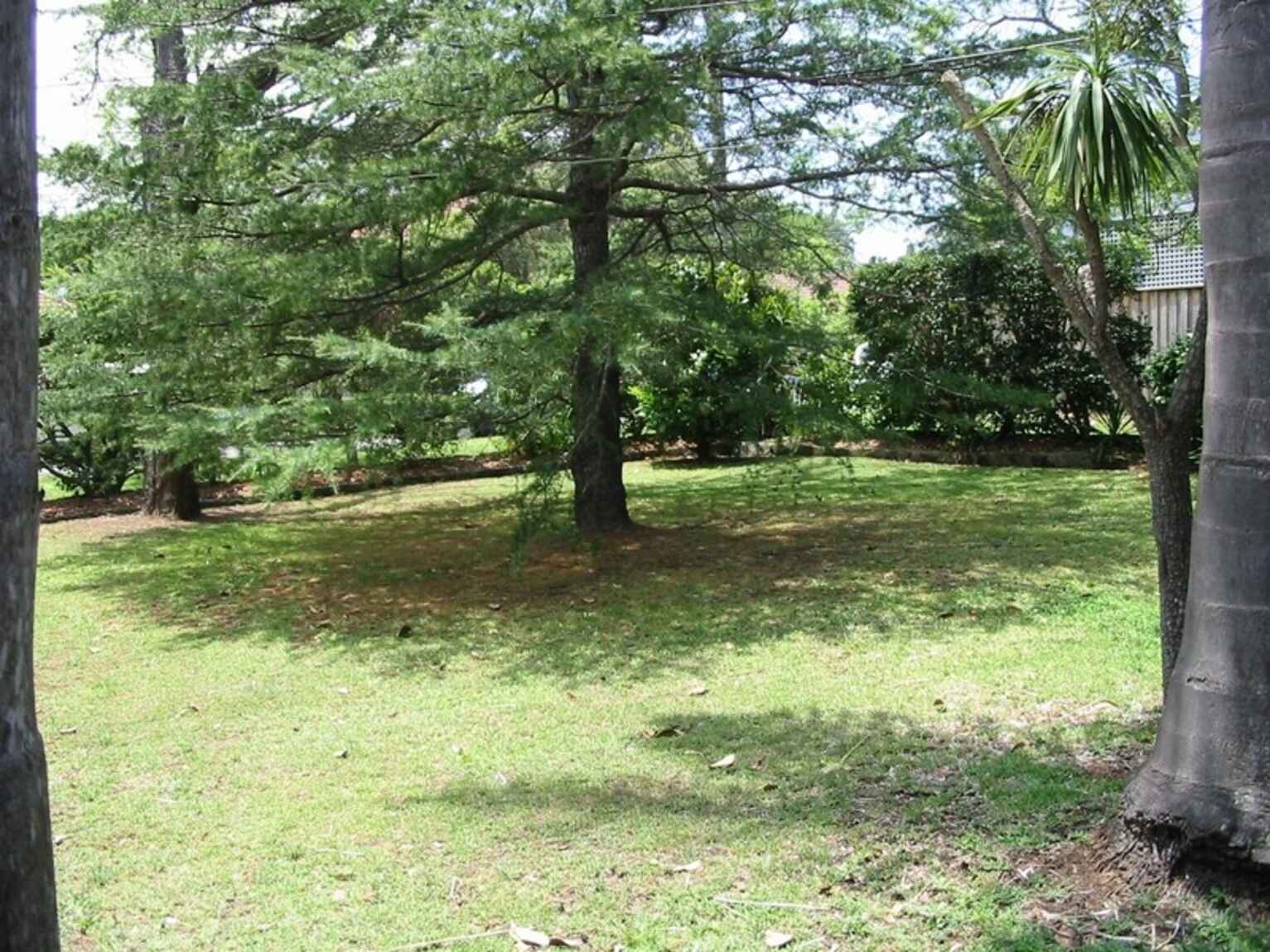 20A Kareela Road Chatswood