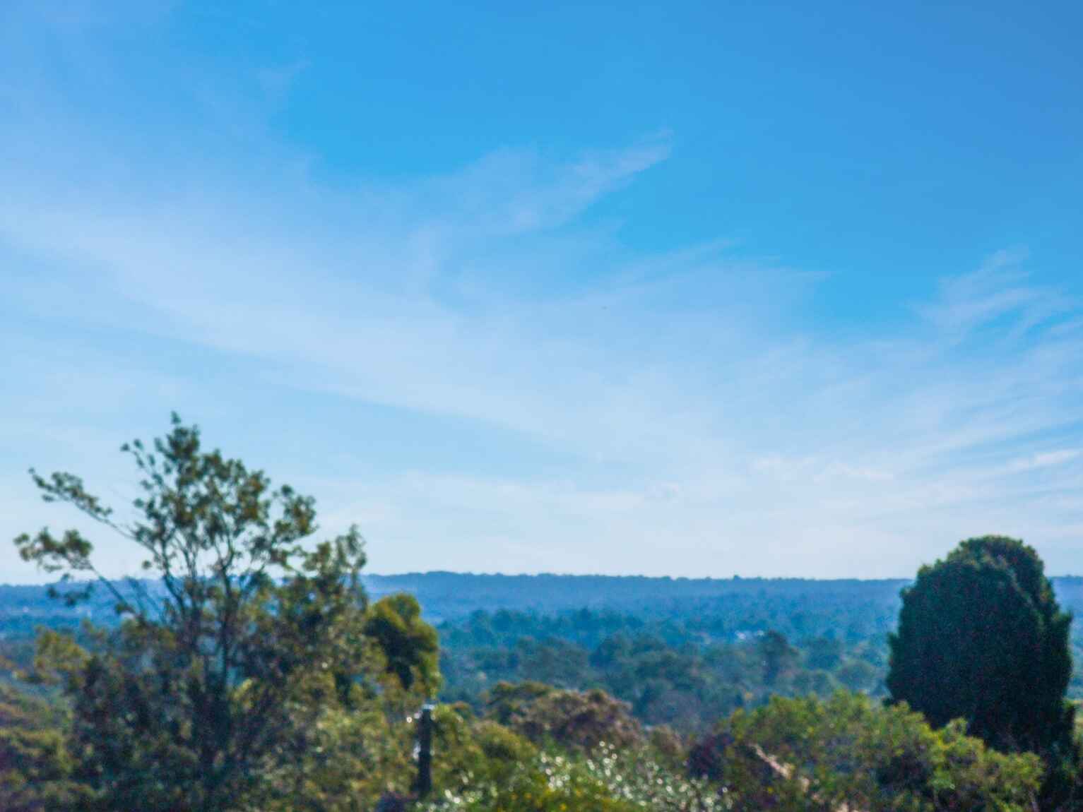 23/11-19 View Street Chatswood